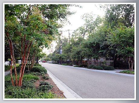 harvey boulevard photo